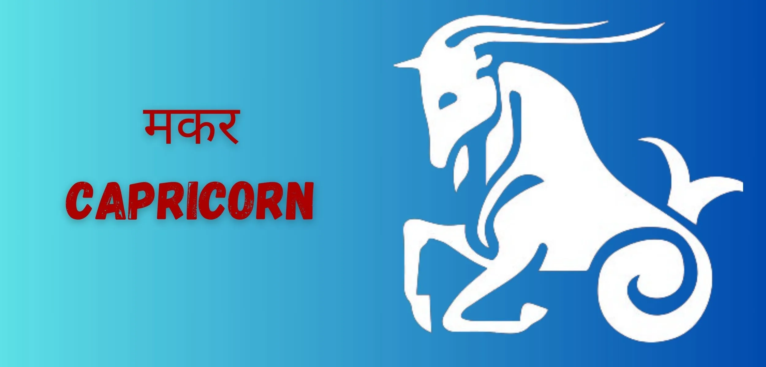 मकर CAPRICORN