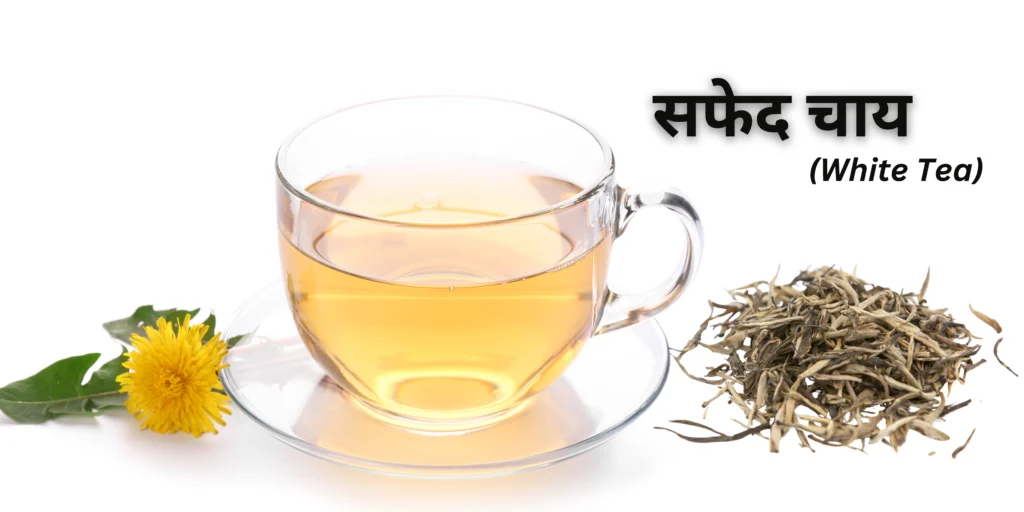 सफेद चाय (White Tea)