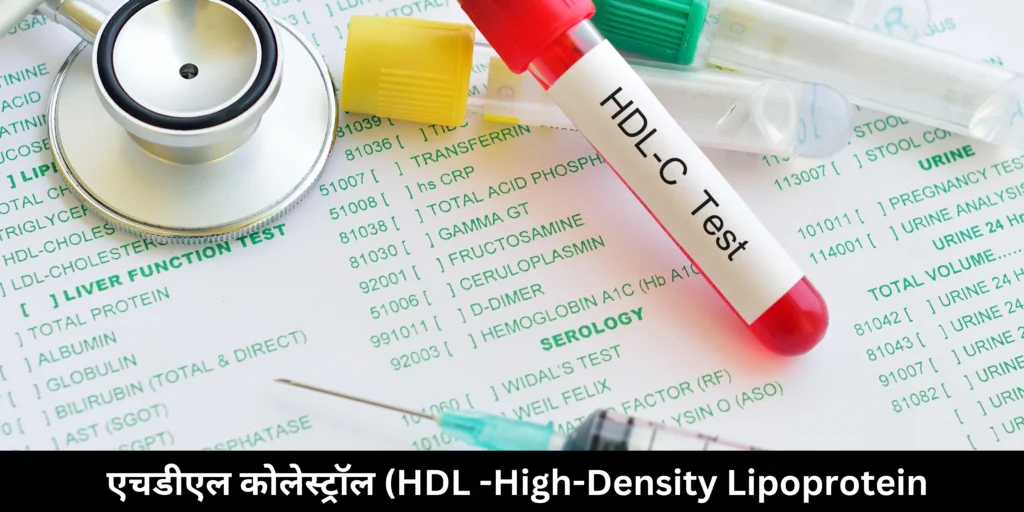 एचडीएल कोलेस्ट्रॉल (HDL -High-Density Lipoprotein)