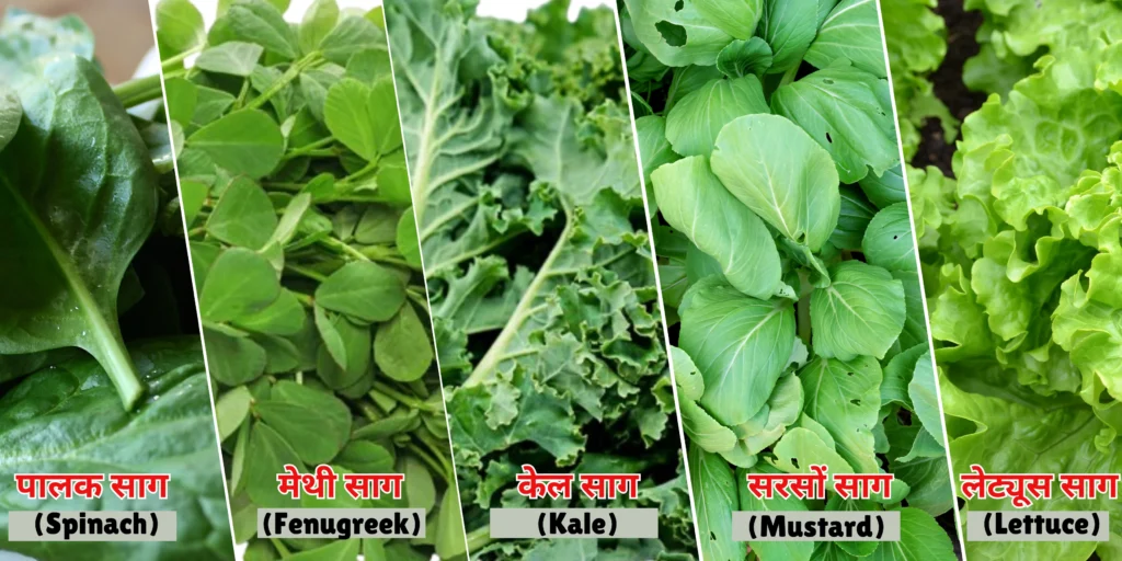 हरी पत्तेदार सब्जियां (Leafy greens)